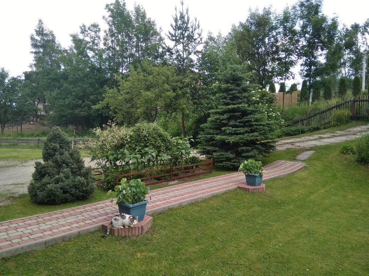 Apartament Widok Чарна Гура Екстер'єр фото