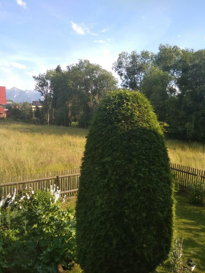 Apartament Widok Чарна Гура Екстер'єр фото